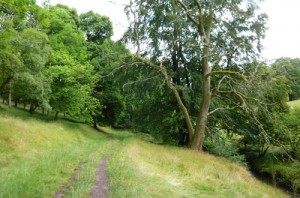 Riverside path, Ratlinghope