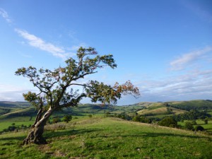 The view from Adstone Hill