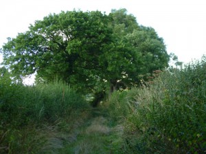 Green lane leaving Wentnor